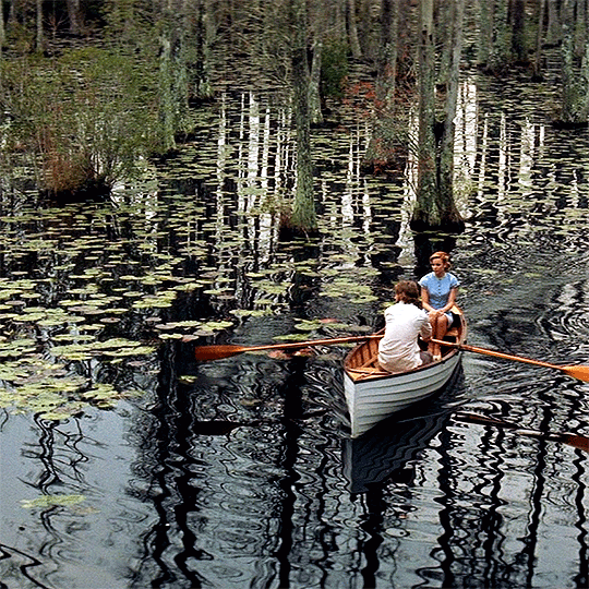 The image shows a scene from The Notebook where Noah and Allie are in a small rowboat on a serene lake surrounded by trees and water lilies. Noah is rowing while Allie sits at the front of the boat. The calm water reflects the trees, creating a tranquil and romantic atmosphere, with the couple enjoying a quiet moment together in the lush, swampy landscape.